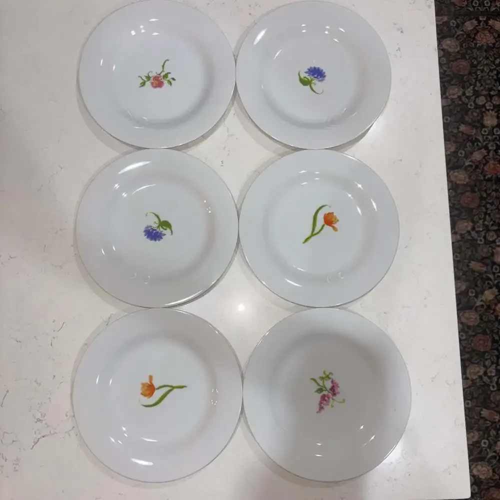 Pottery Barn Bloom Set of 6 Mixed Floral Salad Plates 8.5”